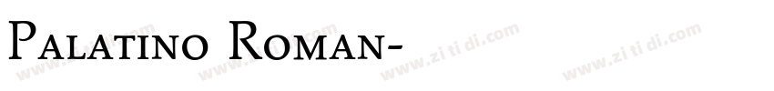 Palatino Roman字体转换